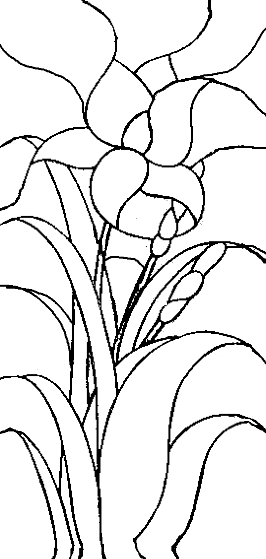 flower designs for glass painting. flower designs for glass