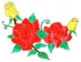 Красные и желтые розы