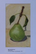 Sketch of pear.