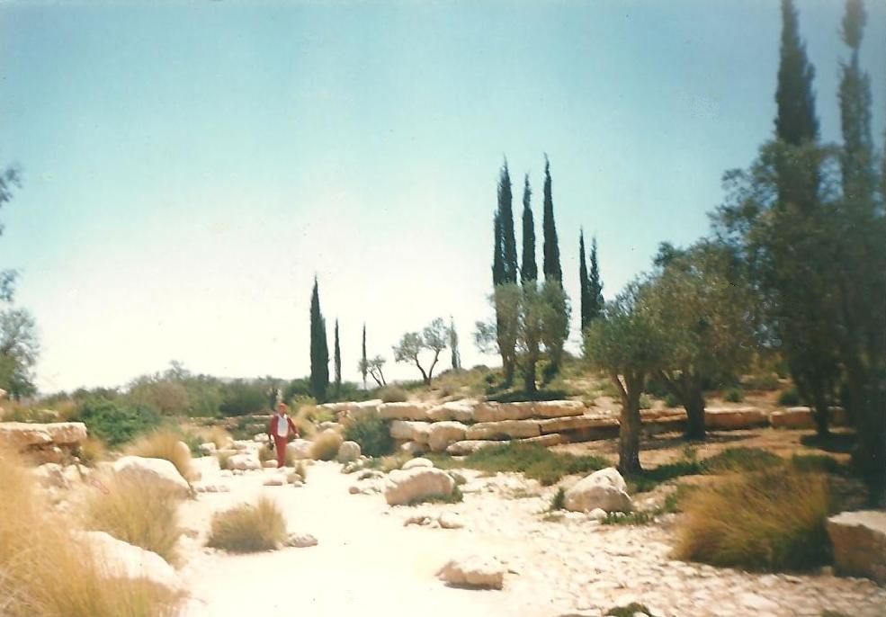 Wadi in the Negev desert. Sde-Boker