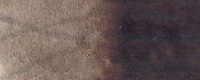 Акварель Рембрандт: Сепия Сепия